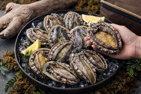 살아있는, 활전복 선물세트1kg(8미)-[2월12일/목요일수령]